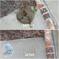 Top-Rated-House-Washing-and-Concrete-Cleaning-Services-in-Fairhope-AL 1